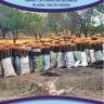 THE SOCIO-ECONOMIC AND ENVIRONMENTAL IMPACT OF CHARCOAL BUSINESS IN JUBA, SOUTH SUDAN